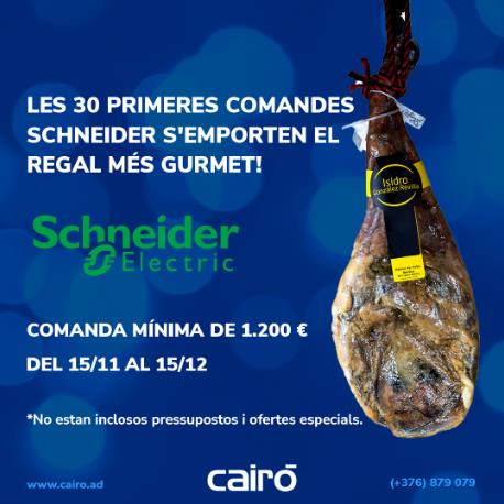 Promoció especial de Schneider i Cairó per un Nadal exquisit!