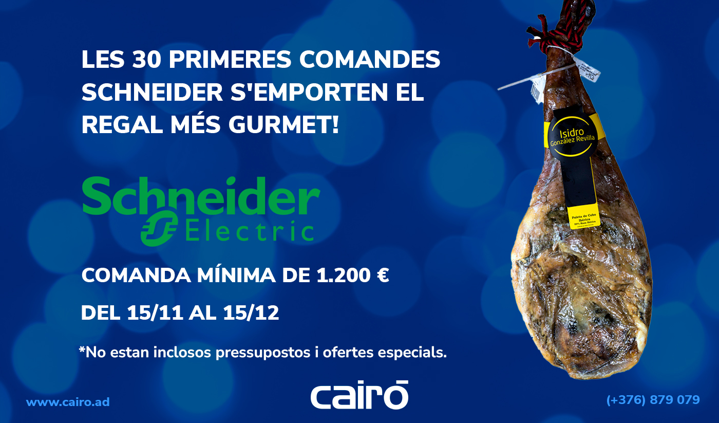 Promo especial de Schneider i Cairó, paletilla de regalo